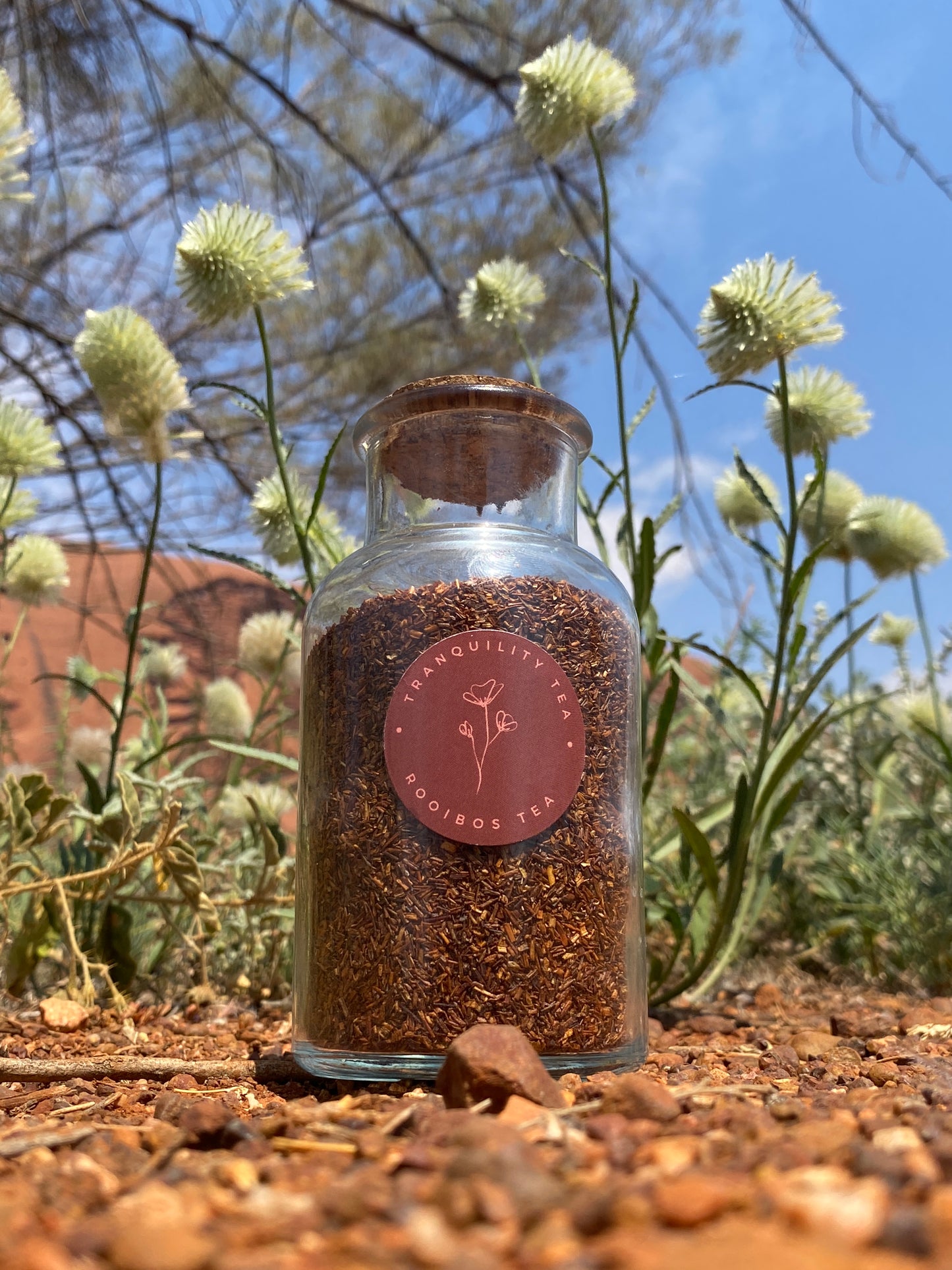 Rooibos
